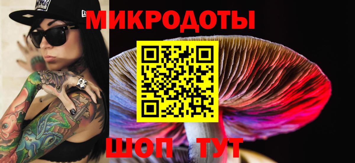 Галлюциногенные грибы Psilocybine cubensis Майкоп